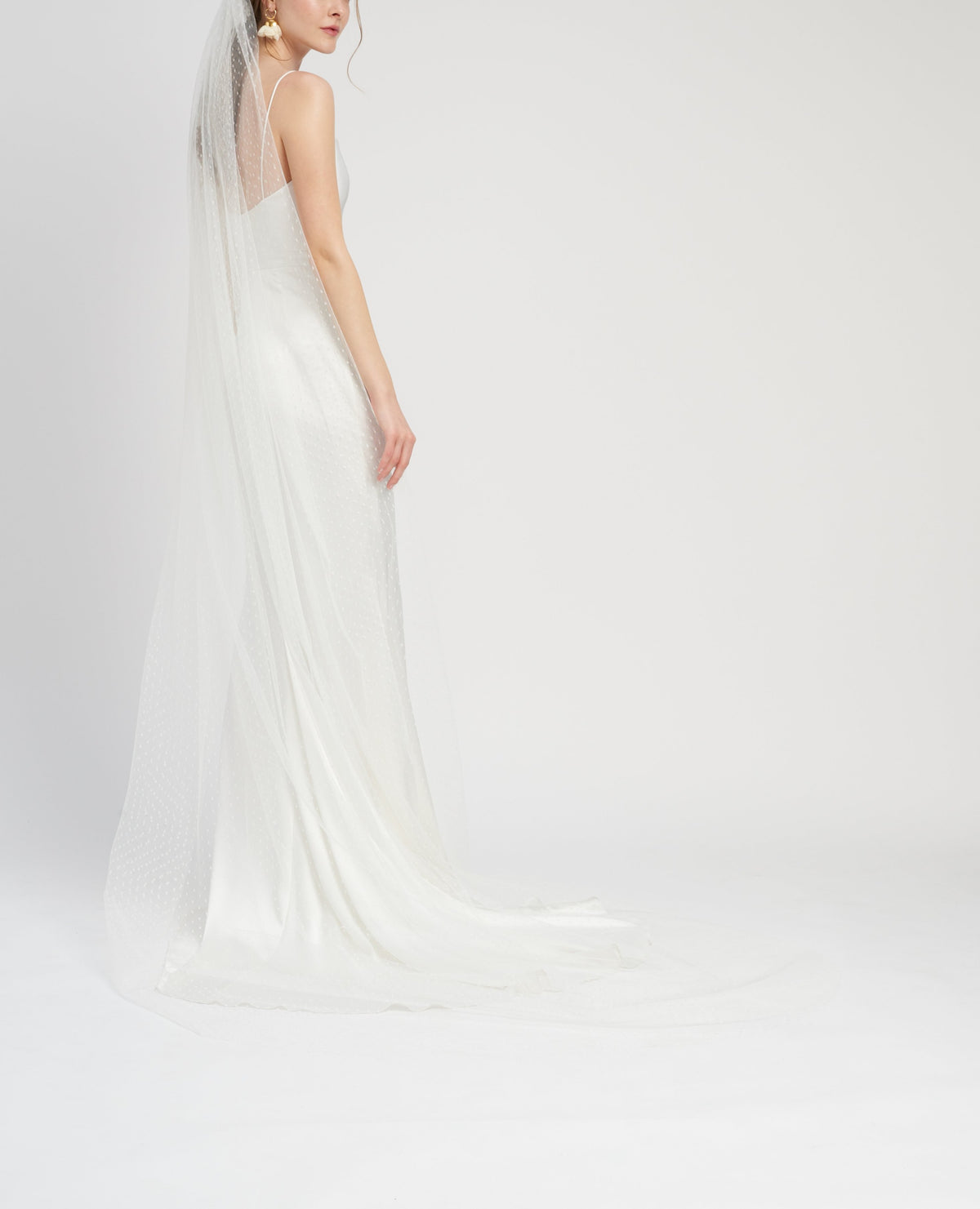Félix Veil