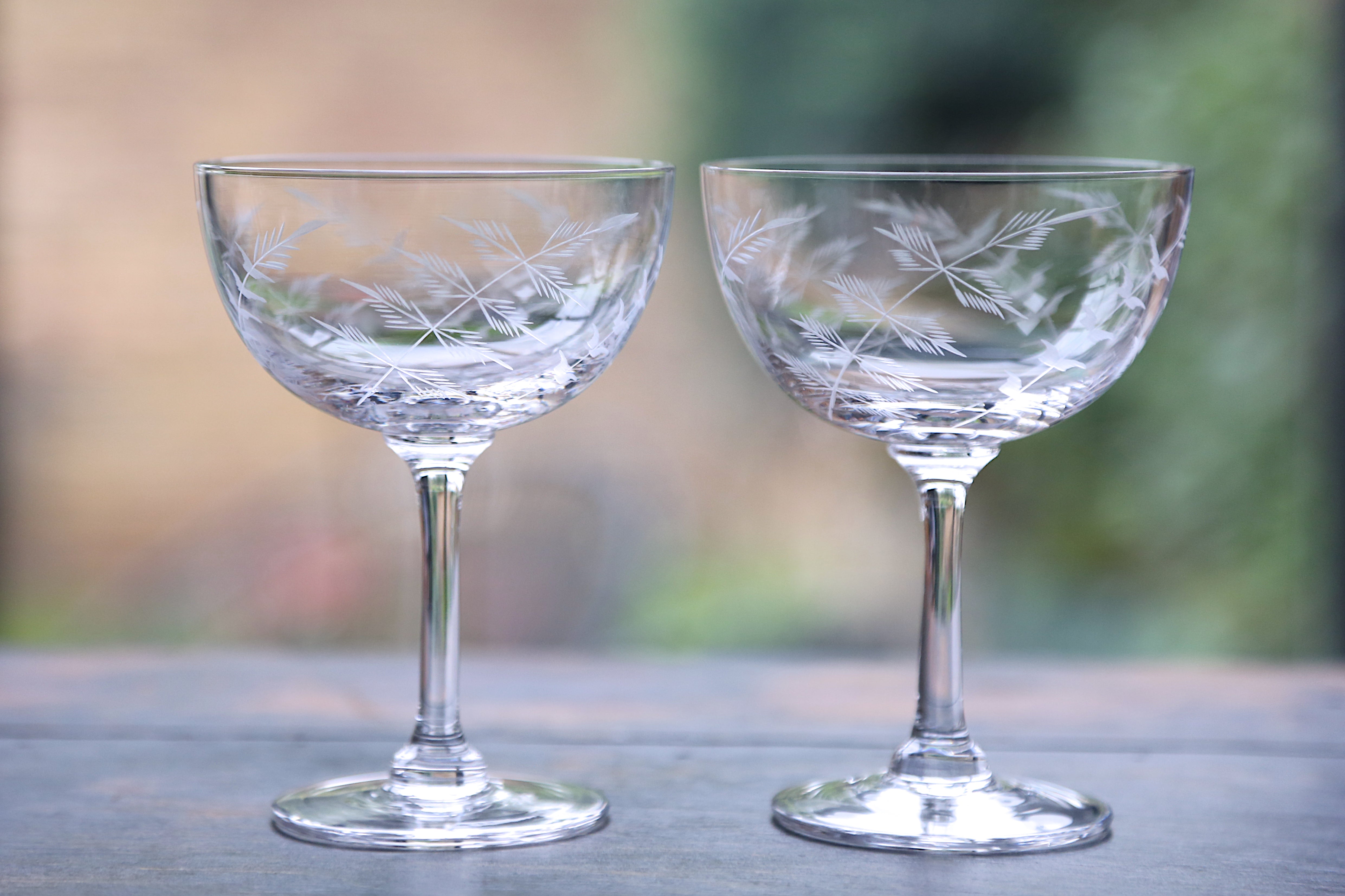 Crystal Champagne Saucers with Fern Design