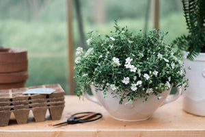 Handthrown Serving Bowl