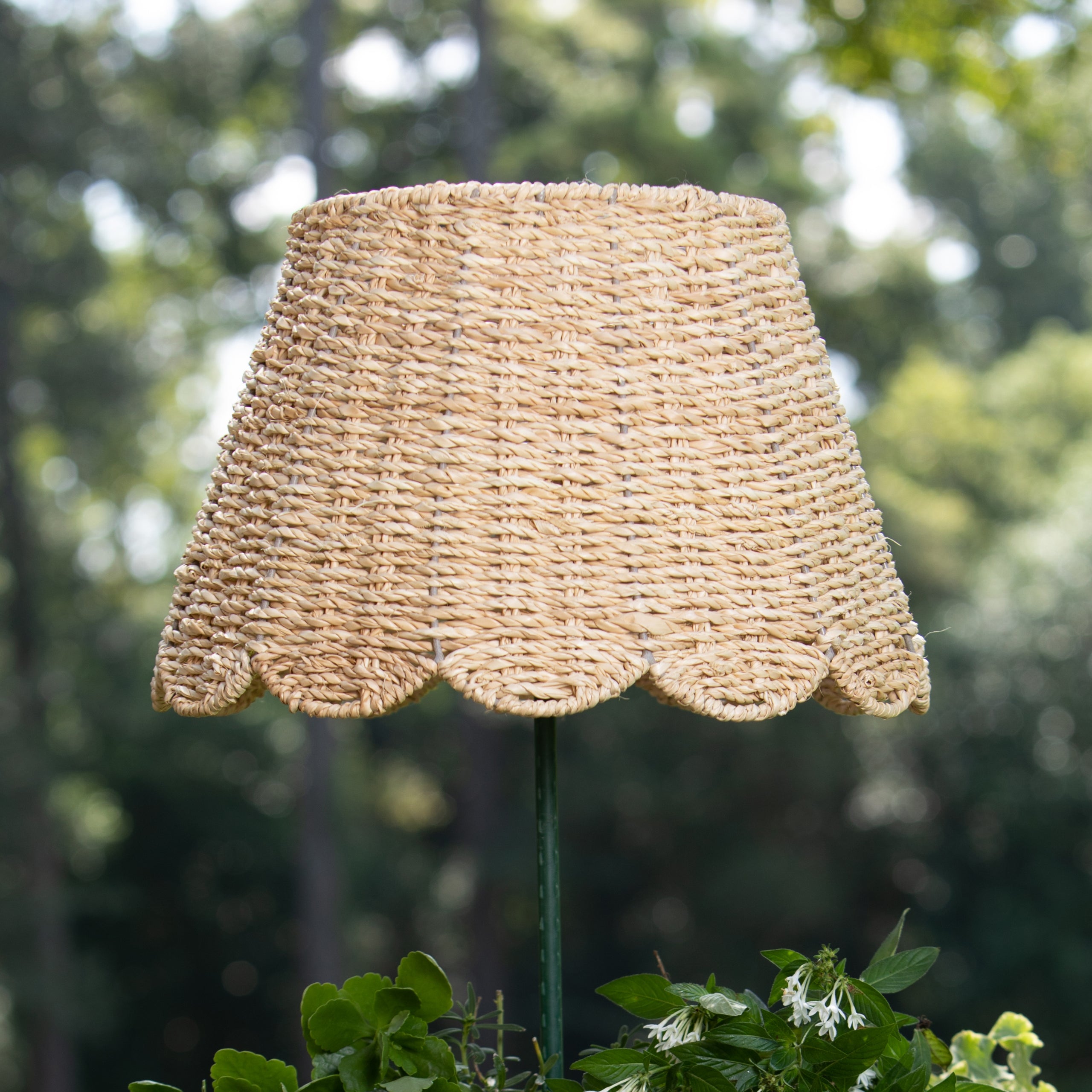 Scalloped Lampshade in Seagrass Twisted