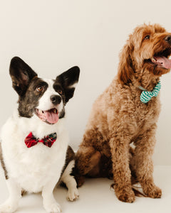 Imperial Tartan Dog Bow Tie