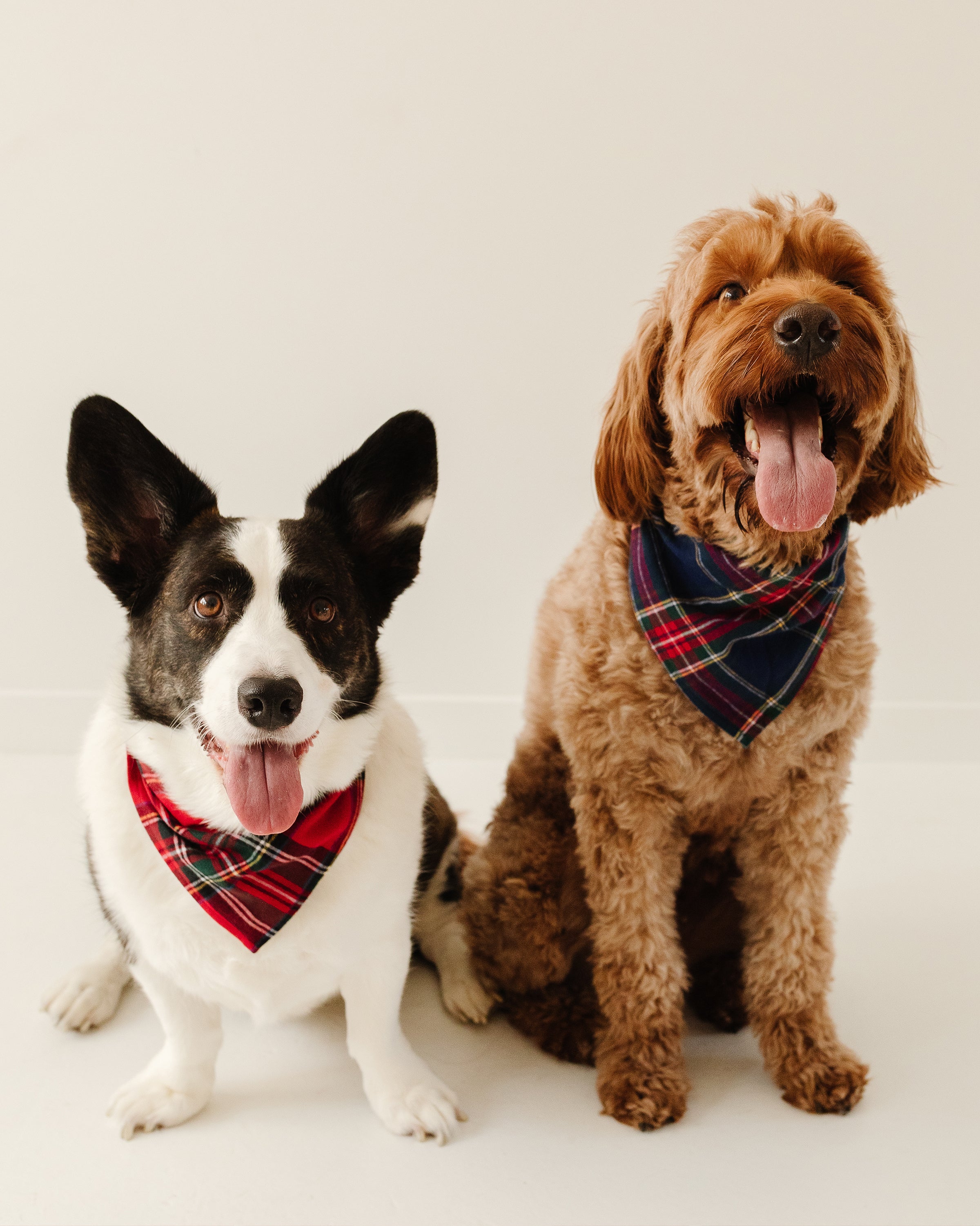 Red Mini Gingham Dog Bandana