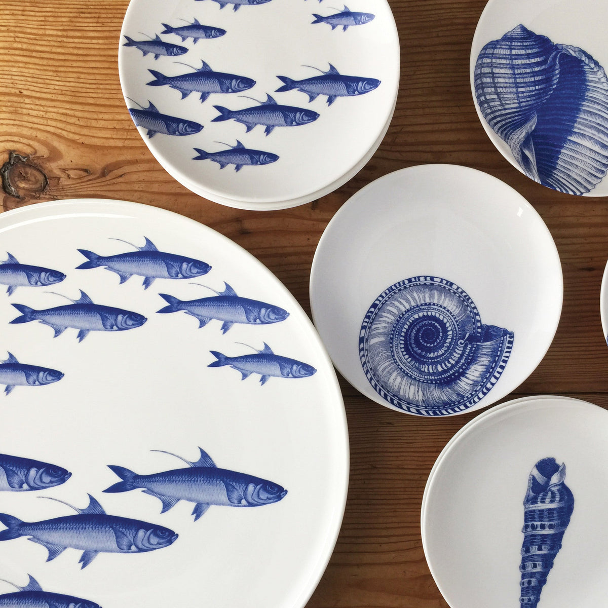 School of Fish Coupe Platter - Caskata