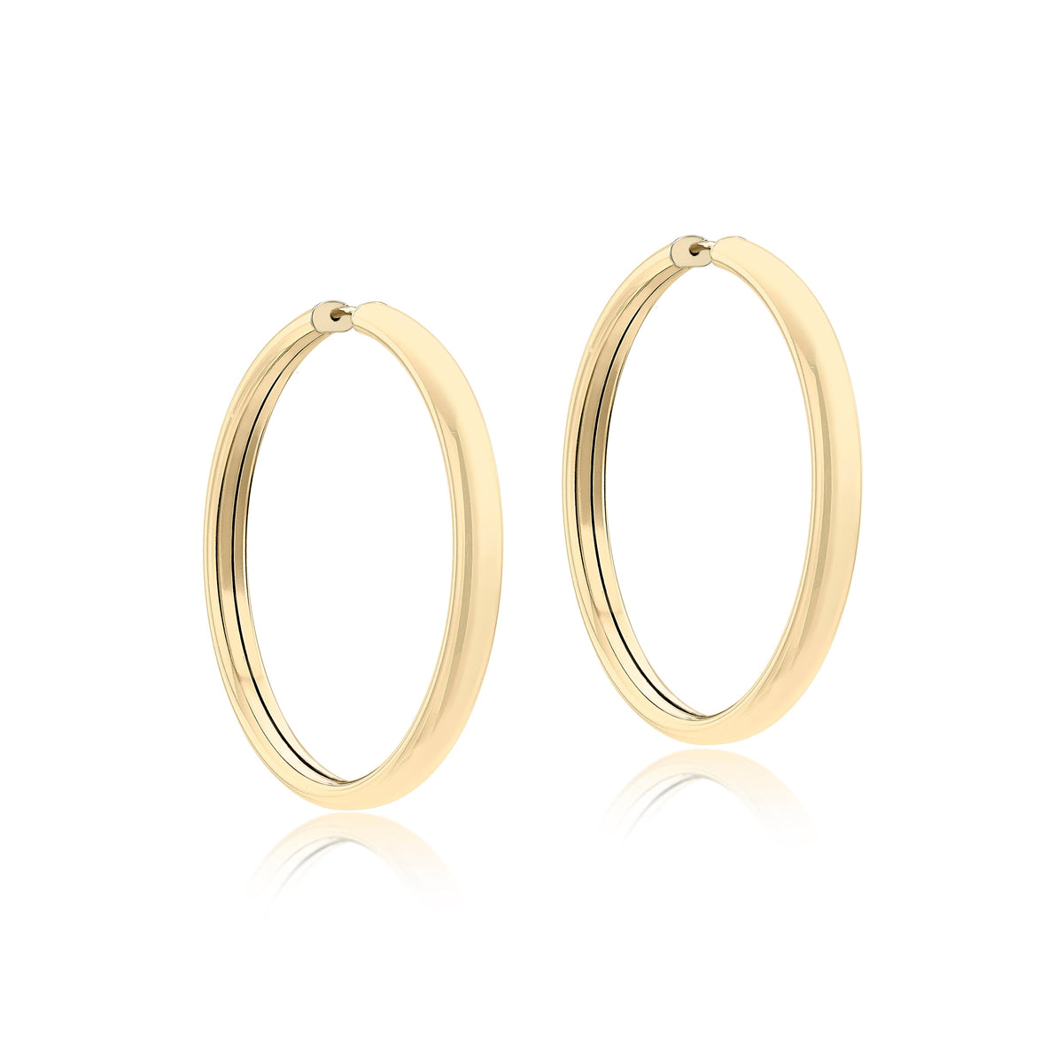 Big Gold Hoop Earrings